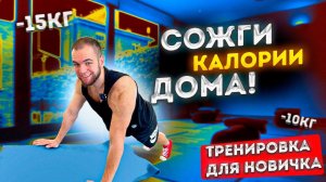 ДОМАШНЯЯ тренировка для НОВИЧКА! | Как правильно тренироваться