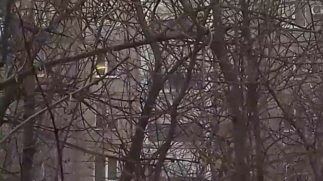 Белочка,Октябрьское ущелье Саратов смотреть онлайн