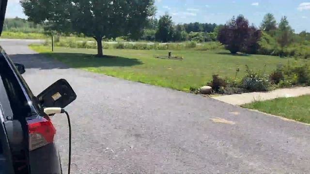 2021 Toyota Rav4 Prime Window Visor & Cell Phone Mount Installation смотреть онлайн