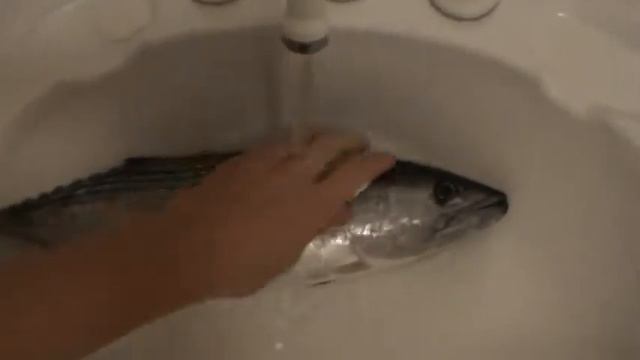 Как Нужно Чистить Рыбу смотреть онлайн