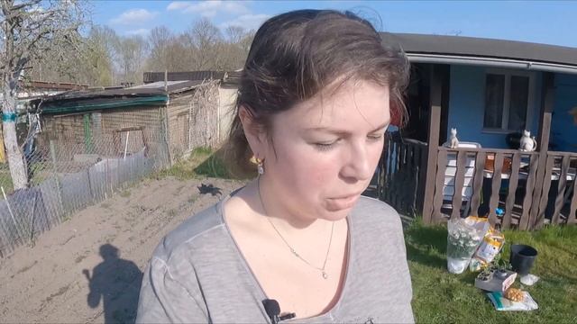 Закупка для дачи. Где купить ромашки. Работаем вечером на даче. смотреть онлайн