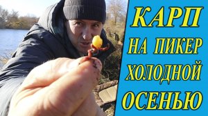 КАРП НА ПИКЕР ХОЛОДНОЙ ОСЕНЬЮ