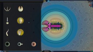РЕАЛИСТИЧНЫЙ ЭТАП КЛЕТКИ ( Spore с модами )