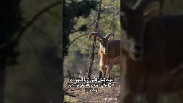 جبل توبقال المغربي