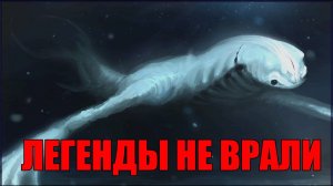 НИНГЕНЫ СУЩЕСТВУЮТ!!!!!! | Охотники за неизведанным выпуск № 142