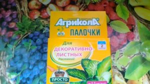 Агрикола палочки для декоративно-листных растений.