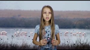 Почему фламинго розовый?