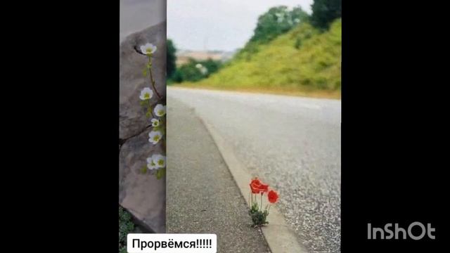 ПРИРОДА НЕ УСТАЁТ УДИВЛЯТЬ#разведение#уход#кормление#КУРЫ НЕСУШКИ # ЯИЧКИ #цыплята # кролики#БРОЛЕР смотреть онлайн