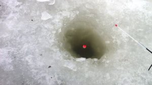 Зимняя ловля карася и карпа. День 2.