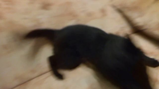 Диван однако... смотреть онлайн