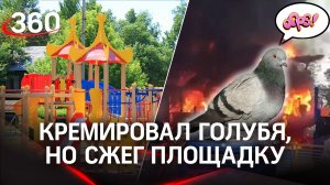 Дети - поджигатели и кремация голубя: по следам пожаров на детских площадках в Подмосковье