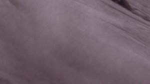 Animal Flow: Transcend