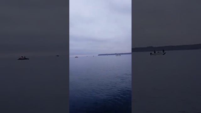 Треска. Отчёты смотреть онлайн