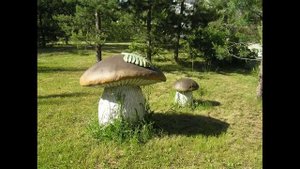 как делать самые простые скульптуры из арт бетона. грибы черепаха..