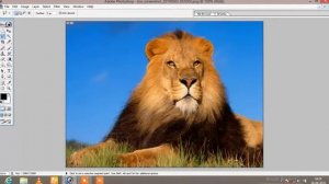 photoshop,lasso tool,photoshop 7.0,lasso tool in photoshop,tool,polygonal lasso tool,