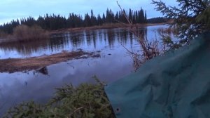 ОХОТА НА УТКУ! ЧИРОК САМАЯ БЫСТРАЯ УТКА В МИРЕ!