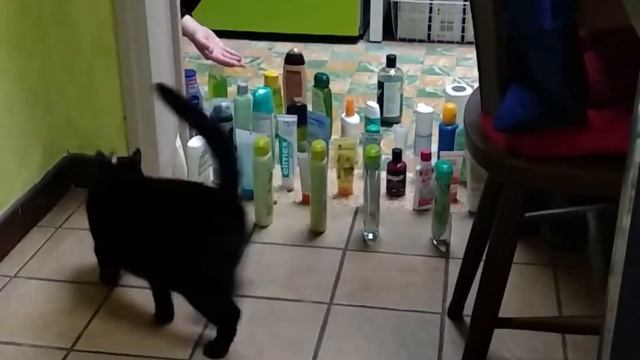 poespoes2 смотреть онлайн