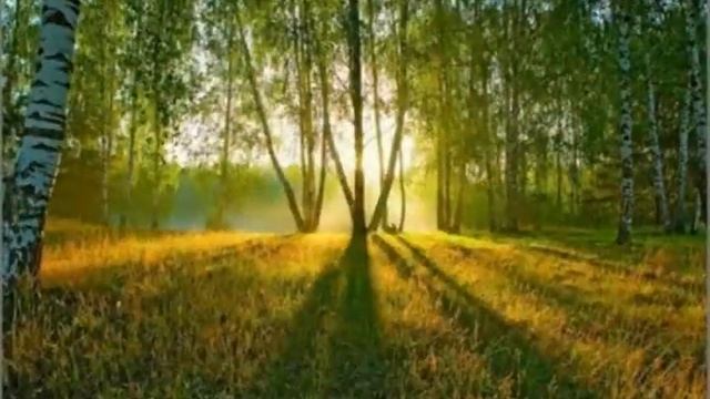 Природа не храм, а мастерская из альбома Иван Сергеевич Тургенев I смотреть онлайн