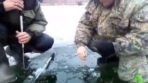 Зимняя-ловля-щук-на-жерлицы_240P.MP4