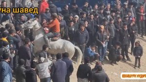 БУЗКАШИ Ш.ИСТАРАВШАН ЧОРБОГ