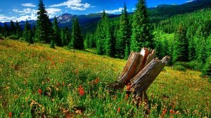 ПОЗВОНИЛ БЫВШЕЙ, НО ТРУБКУ ВЗЯЛА НЕ ОНА, МУЖЧИНА РАСТЕРЯЛСЯ. Истории из жизни.