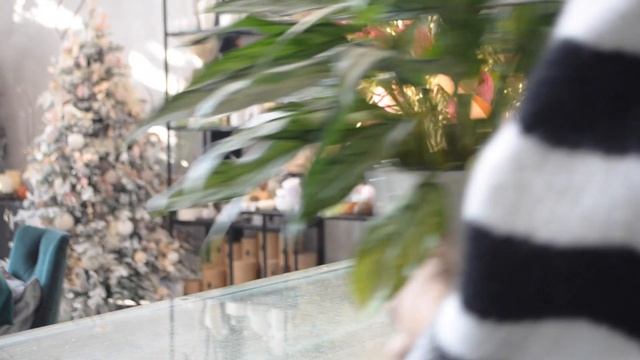 Vlog2 подготовка к новогоднему сезону