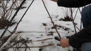 Как поймать зайца.