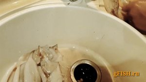 Кальмар. Наконец-то рассказали как быстро чистить кальмар.