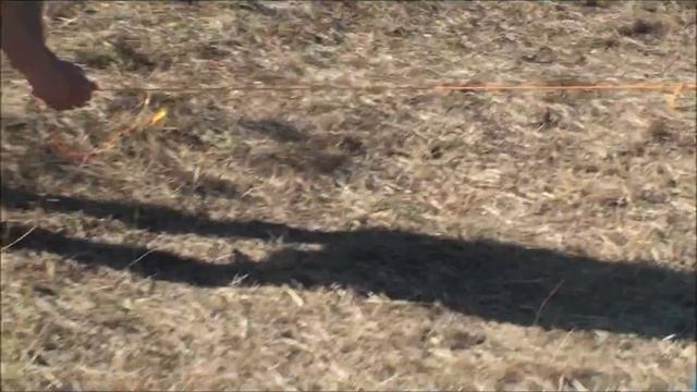 Обзор и сборка палаток Toronto GREEN WAY смотреть онлайн