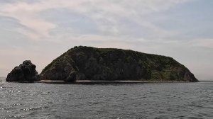 о. Скребцова.(На Коврижку на лодке)