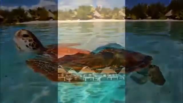 горящие туры в египет из одессы смотреть онлайн