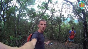 Атлантический лес| Парк Тижука| Рио Де Жанейро