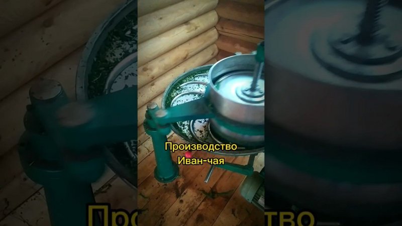 Как делают листовой Иван - чай