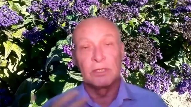Имитационное моделирование, эксперт – операторное взаимодействие с миром.
