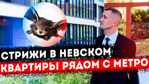 Иван Пименов Стрижи в Невском - Квартиры рядом с метро Санкт-Петербург