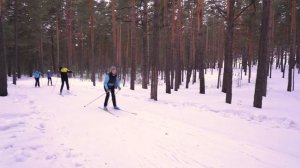Коньковый ход с нуля 4 Тренировка:  3 вида конькового хода на лыжах.