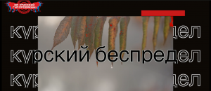 Услышьте нас: В Курске азербайджанская диаспора повлияла на следствие. Мама ищет правды.