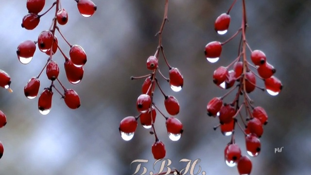 Chris Spheeris. Eros, Rain смотреть онлайн