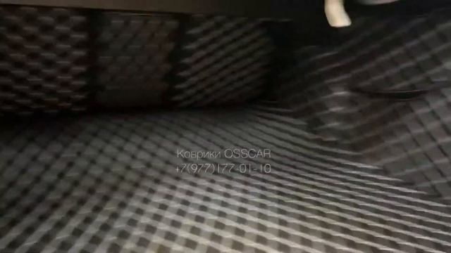 3D коврики для Mercedes E -Class W213 OSSCAR