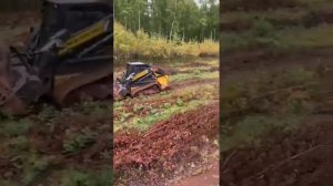 Мини-погрузчик New Holland C332 (с мульчером FAE) в работе у клиента