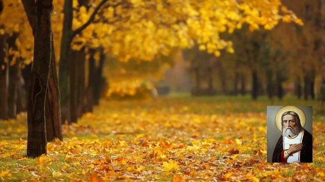 Молитва. Прп. Серафим Саровский / Саровский цветник. Наставления старцев Саровской пустыни смотреть онлайн