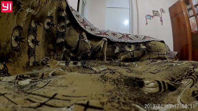 обучение трюков на фингер bmx смотреть онлайн