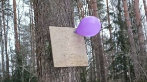 Российская винтовка МР-61 С по воздушным шарикам | МР-61 С с пружиной от Хатсана Страйкер Альфа