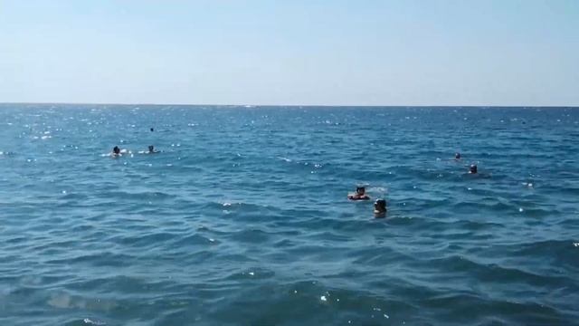 ШОК! Пляж Сукко Анапа Утриш. Галечный пляж Анапа, где нет водорослей в Анапе? Отдых в анапе 2020 смотреть онлайн