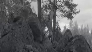 А зори здесь тихие (part 16)