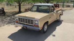 1981 Dodge D-150 Custom SE 225 ci Slant-6 Automatic