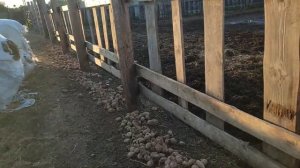 Загоняем Советских тяжеловозов