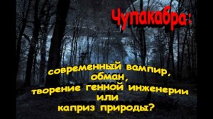 Чупакабра: современный вампир, обман, творение генной инженерии или каприз природы?