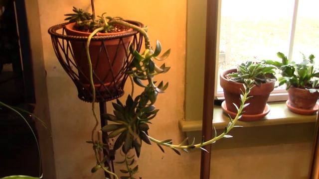 Black Knight Part 1 смотреть онлайн