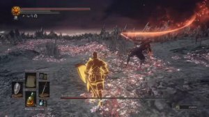 DARK SOULS™ III Душа  пепла. И немного багов.